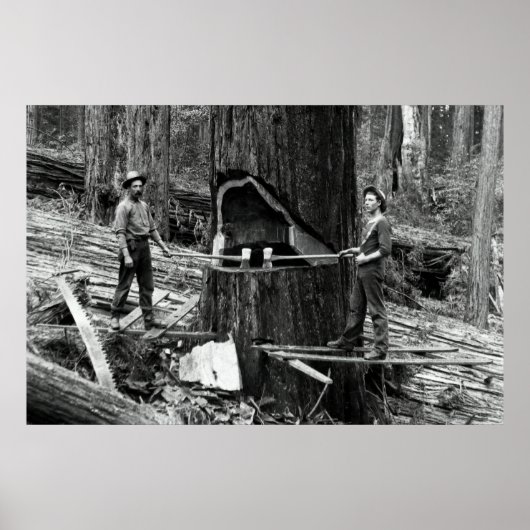 深いフォレストランバージャックc.1890 ポスター (正面)