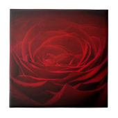 深いレッドローズ タイル (正面)