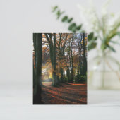 深い入りハートはがき ポストカード (スタンド正面)