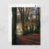 深い入りハートはがき ポストカード (正面/裏面)