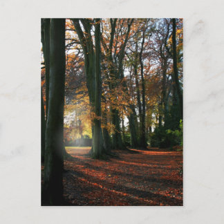 深い入りハートはがき ポストカード