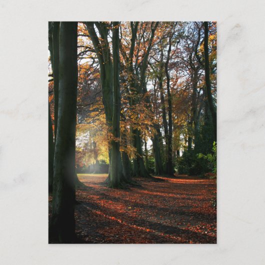 深い入りハートはがき ポストカード (正面)