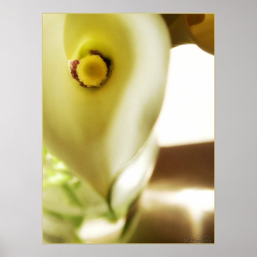 深い内 ポスター (正面)