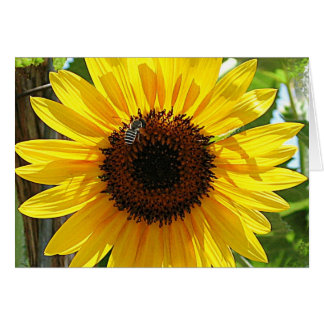 深い呼吸は余りに