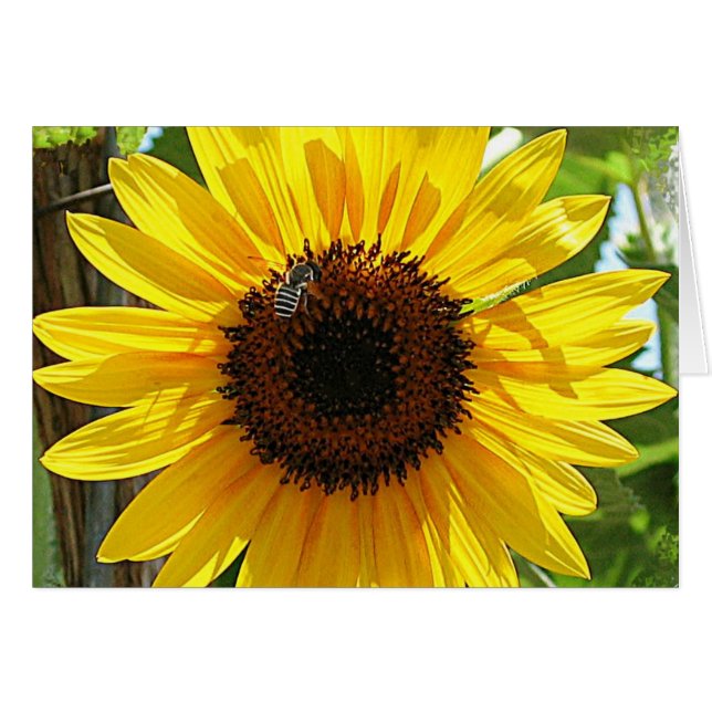 深い呼吸は余りに (正面横)