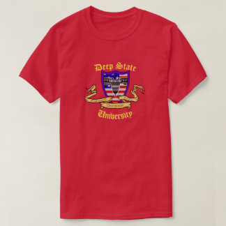 深い州大学 Tシャツ
