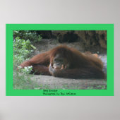 深い思想家 ポスター (正面)