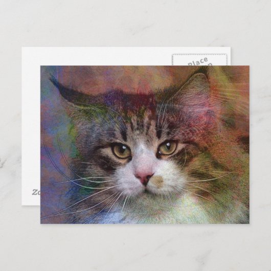 深い思考 ポストカード (正面/裏面)