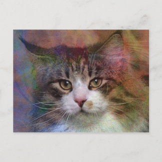 深い思考 ポストカード