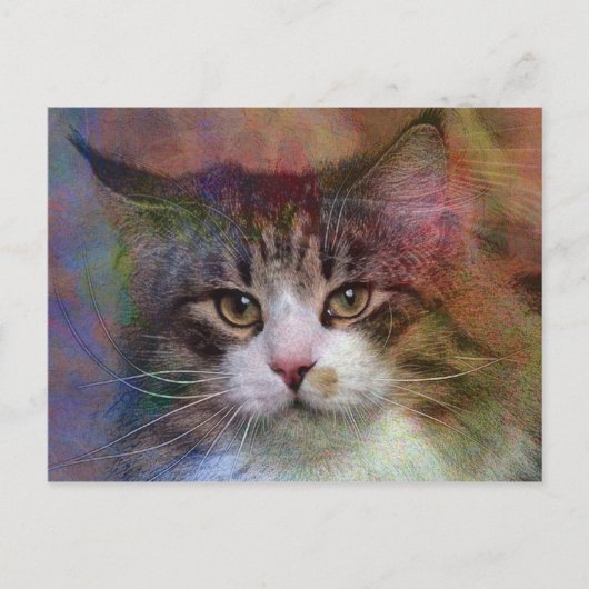 深い思考 ポストカード (正面)