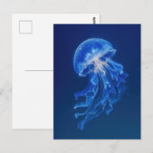 深い星空の夜の海で輝く青いクラゲ ポストカード (正面/裏面)