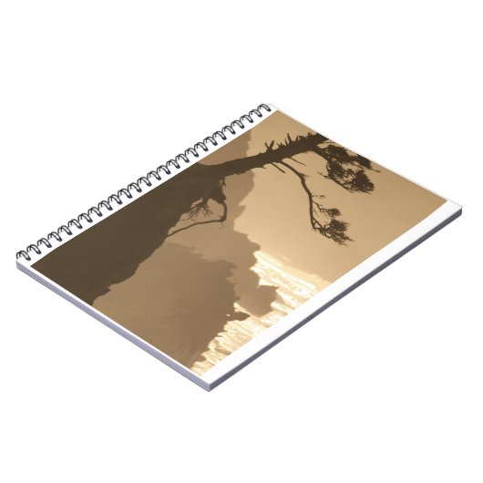 深い根 ノートブック (左側)