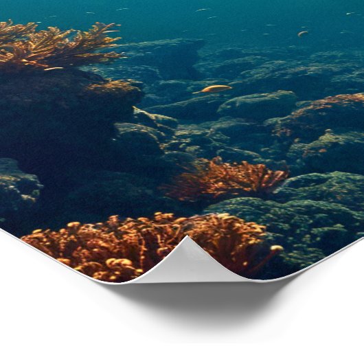 深い水中世界 ポスター (角)