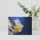 深い海クラゲ ポストカード (スタンド正面)