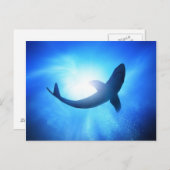 深い海シャークシルエット ポストカード (正面/裏面)