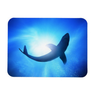 深い海シャークシルエット マグネット
