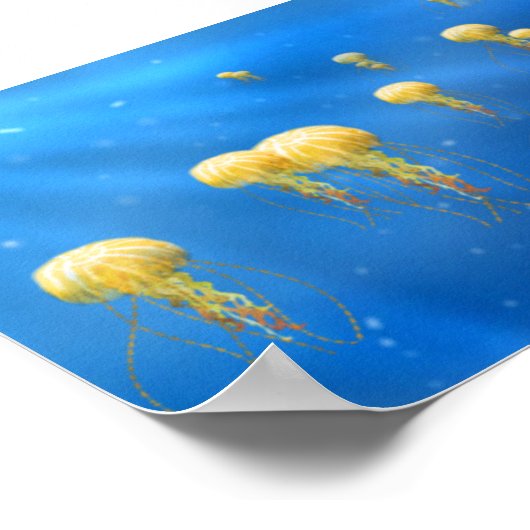 深い海宝 ポスター (角)