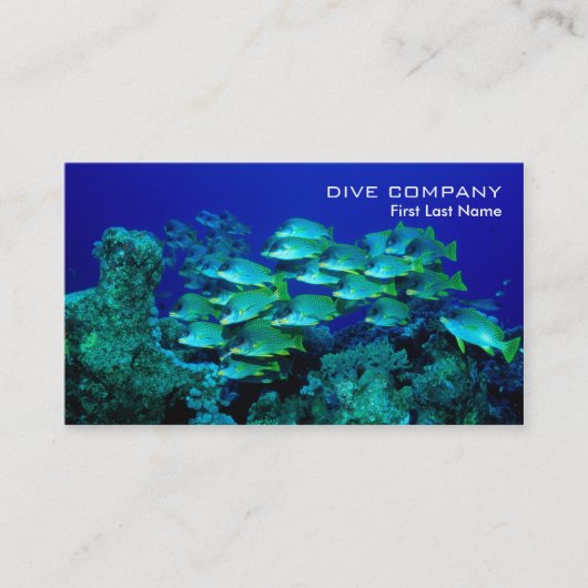 深い海水魚のダイビング会社の名刺 名刺 (正面)