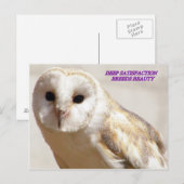 深い満足品種美しい ポストカード (正面/裏面)