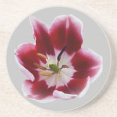 深い赤チューリップ コースター (正面)