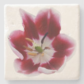 深い赤チューリップ ストーンコースター (正面)