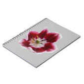 深い赤チューリップ ノートブック (左側)