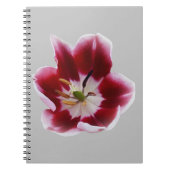 深い赤チューリップ ノートブック (正面)
