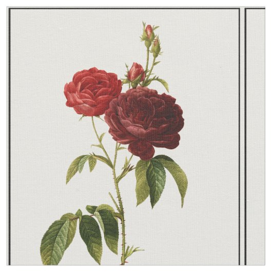 深い赤ヴィンテージ絵画バラ ファブリック (クローズアップ)