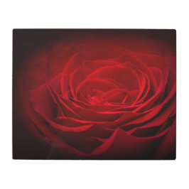 深い赤血バラオンブラック メタルプリント