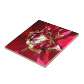 深い赤開花 タイル (側面)