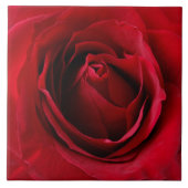 深い タイル (正面)