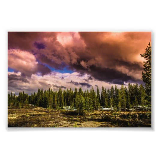 深い フォトプリント            (正面)