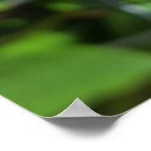 深い ポスター (角)