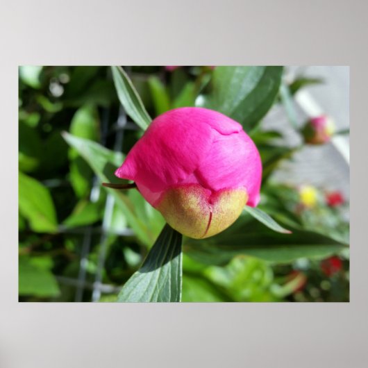 深い ポスター (正面)