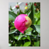 深い ポスター (正面)