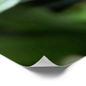 深い ポスター (角)