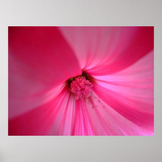 深い ポスター (正面)