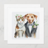 深刻おもしろい：猫と犬の泣き、水色 (正面/裏面)