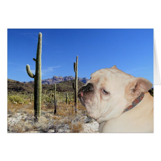 深刻ですか。 (正面横)