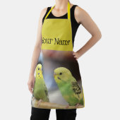 深刻なケート エプロン (インサイチュ)