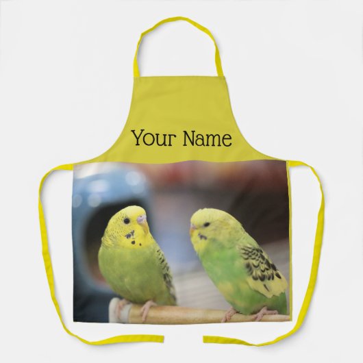 深刻なケート エプロン (正面)