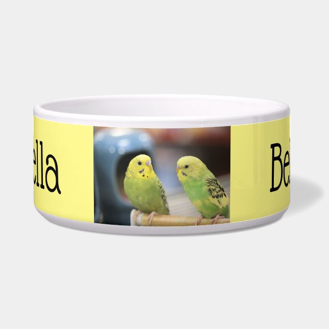 深刻なケート ボウル (正面)