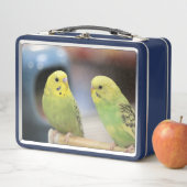 深刻なケート メタルランチボックス (インサイチュ)