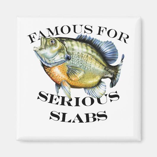 深刻なスラブ照明で有名である マグネット (正面)