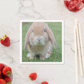 深刻なバニー写真 スタンダードカクテルナプキン (インサイチュ)