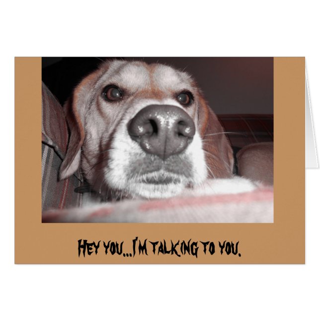 深刻な子犬 (正面横)