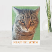 深刻な子猫Get Well Card カード (正面)