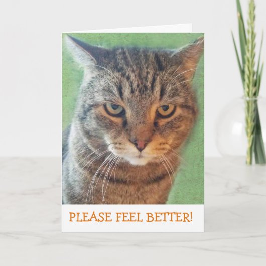 深刻な子猫Get Well Card カード (正面)