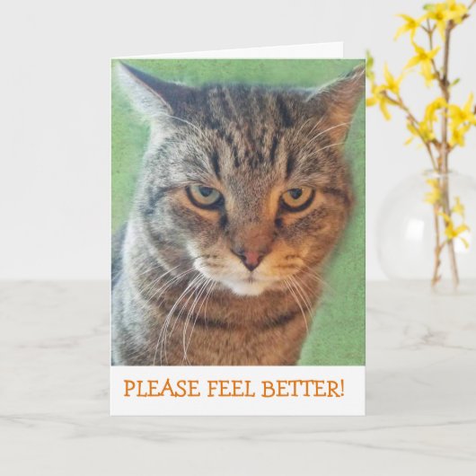 深刻な子猫Get Well Card カード (黄色い花)