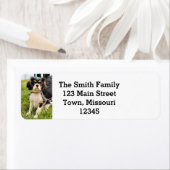 深刻な差出人住所ラベル ラベル (インサイチュ)